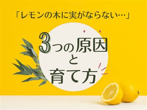 樹木枯萎原因|庭木を病気から守ろう！枯れる原因や対処法をご紹。